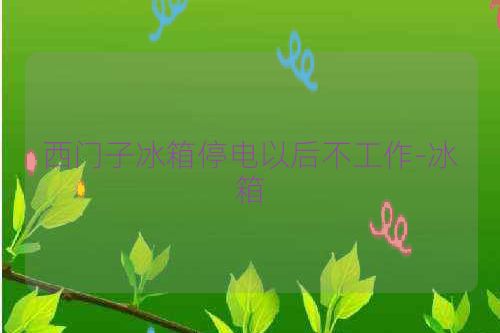 西门子冰箱停电以后不工作-冰箱