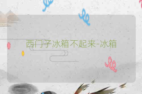 西门子冰箱不起来-冰箱