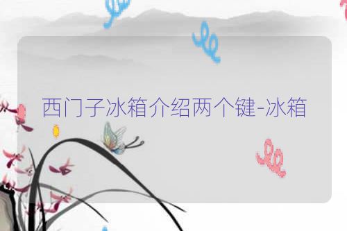 西门子冰箱介绍两个键-冰箱