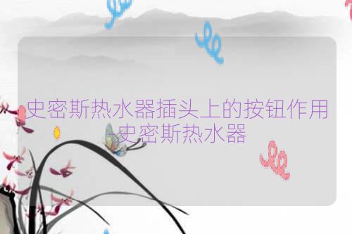 史密斯热水器插头上的按钮作用-史密斯热水器