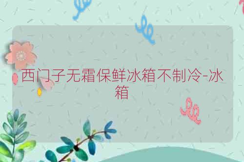 西门子无霜保鲜冰箱不制冷-冰箱