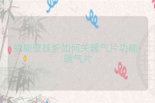 威能壁挂炉如何关暖气片功能-暖气片