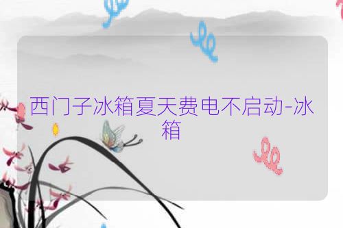 西门子冰箱夏天费电不启动-冰箱