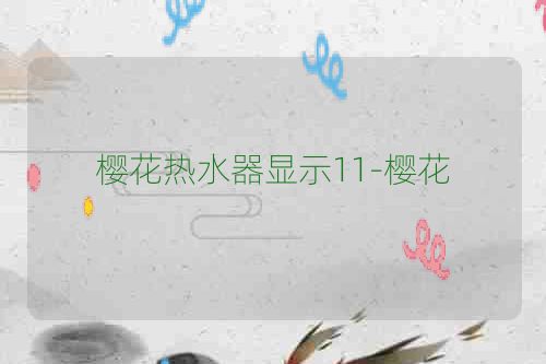 樱花热水器显示11-樱花