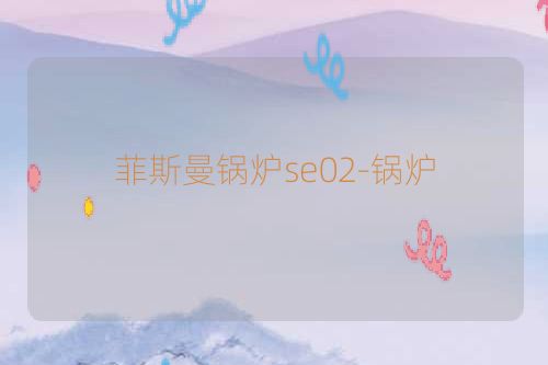 菲斯曼锅炉se02-锅炉