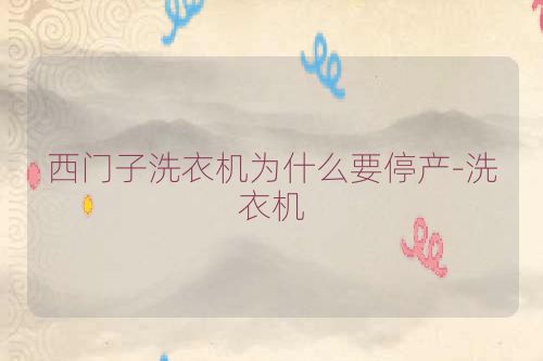 西门子洗衣机为什么要停产-洗衣机
