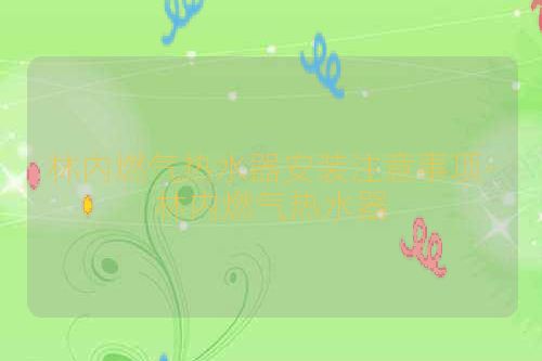 林内燃气热水器安装注意事项-林内燃气热水器