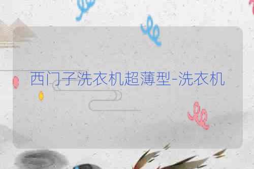 西门子洗衣机超薄型-洗衣机