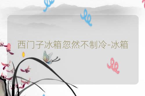 西门子冰箱忽然不制冷-冰箱