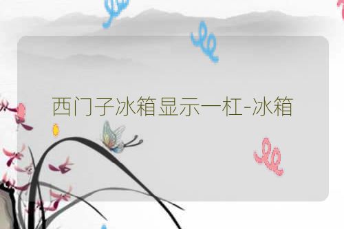 西门子冰箱显示一杠-冰箱