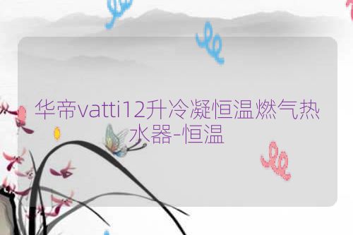 华帝vatti12升冷凝恒温燃气热水器-恒温