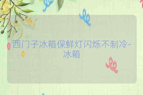 西门子冰箱保鲜灯闪烁不制冷-冰箱