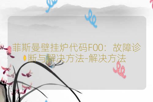 菲斯曼壁挂炉代码F00:故障诊断与解决方法-解决方法