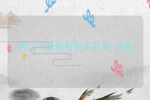 西门子冰箱新鲜不趴菜-冰箱