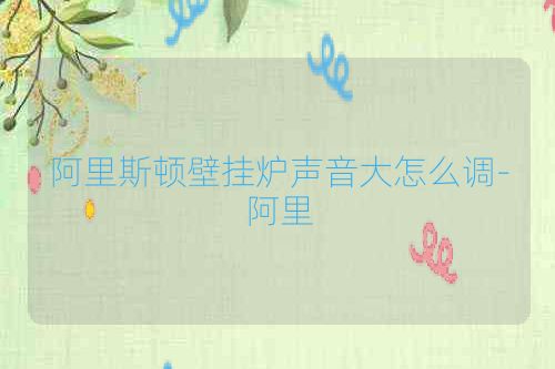 阿里斯顿壁挂炉声音大怎么调-阿里