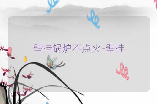 壁挂锅炉不点火-壁挂