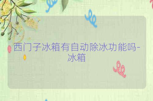 西门子冰箱有自动除冰功能吗-冰箱