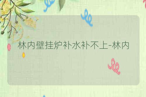 林内壁挂炉补水补不上-林内