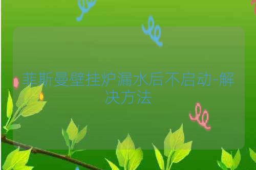 菲斯曼壁挂炉漏水后不启动-解决方法