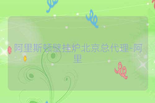 阿里斯顿壁挂炉北京总代理-阿里