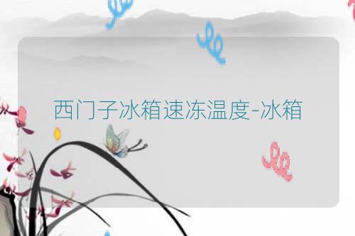 西门子冰箱速冻温度-冰箱