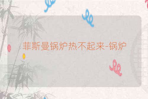 菲斯曼锅炉热不起来-锅炉