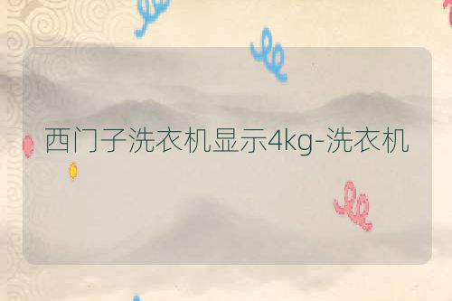 西门子洗衣机显示4kg-洗衣机