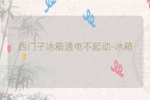 西门子冰箱通电不起动-冰箱