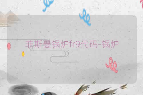菲斯曼锅炉fr9代码-锅炉
