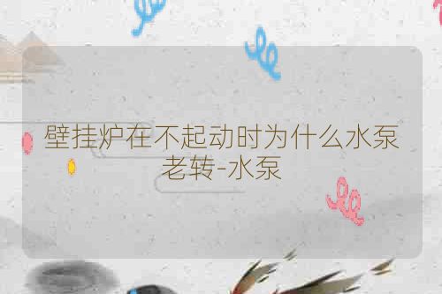 壁挂炉在不起动时为什么水泵老转-水泵