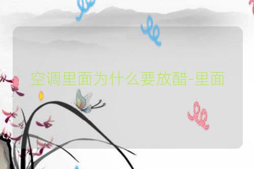 空调里面为什么要放醋-里面