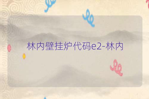 林内壁挂炉代码e2-林内