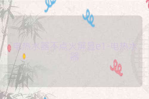 电热水器不点火屏显e1-电热水器