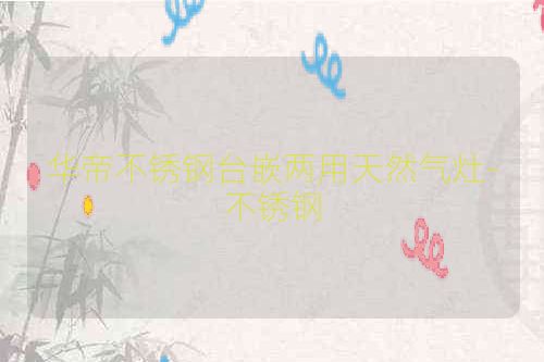 华帝不锈钢台嵌两用天然气灶-不锈钢
