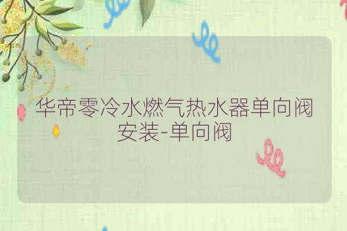 华帝零冷水燃气热水器单向阀安装-单向阀