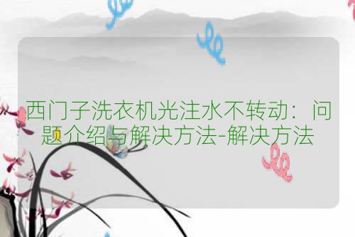西门子洗衣机光注水不转动:问题介绍与解决方法-解决方法