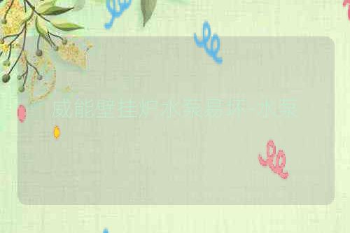 威能壁挂炉水泵易坏-水泵