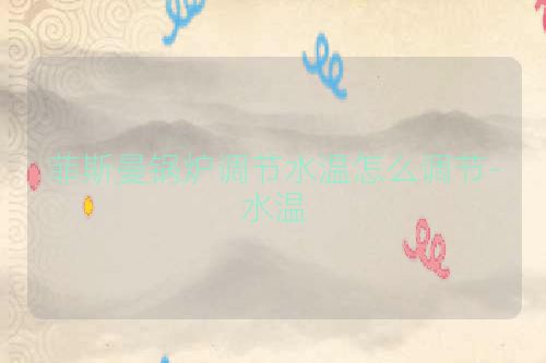 菲斯曼锅炉调节水温怎么调节-水温