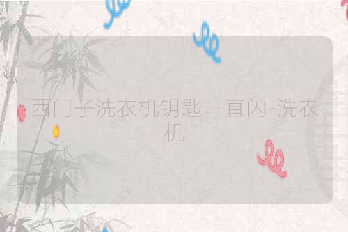 西门子洗衣机钥匙一直闪-洗衣机