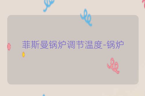 菲斯曼锅炉调节温度-锅炉