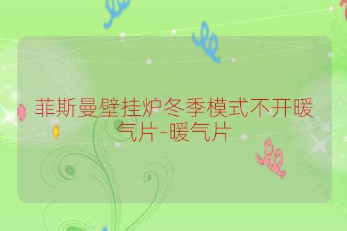 菲斯曼壁挂炉冬季模式不开暖气片-暖气片