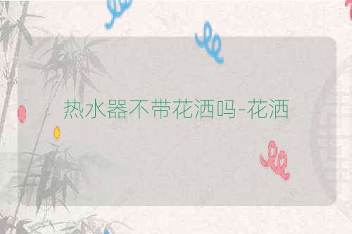 热水器不带花洒吗-花洒