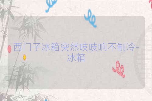 西门子冰箱突然吱吱响不制冷-冰箱