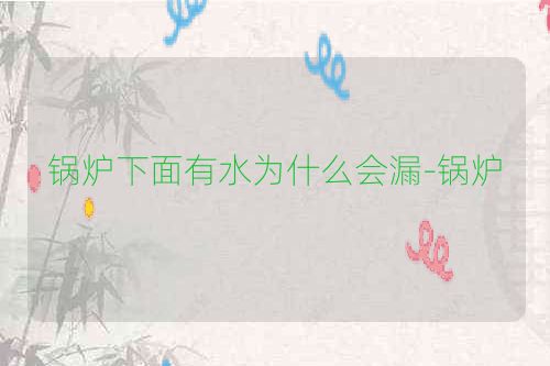 锅炉下面有水为什么会漏-锅炉