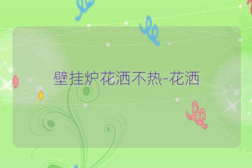 壁挂炉花洒不热-花洒